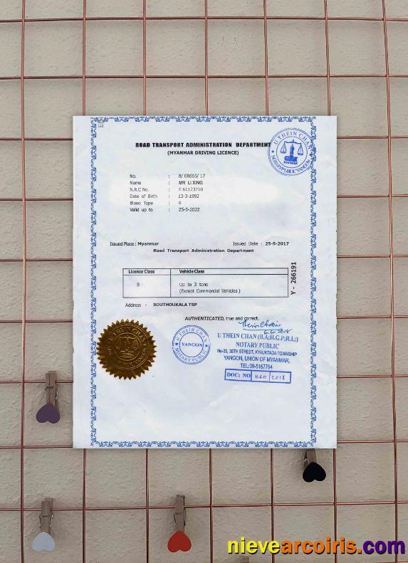 Myanmar Driving License FREE  photolook